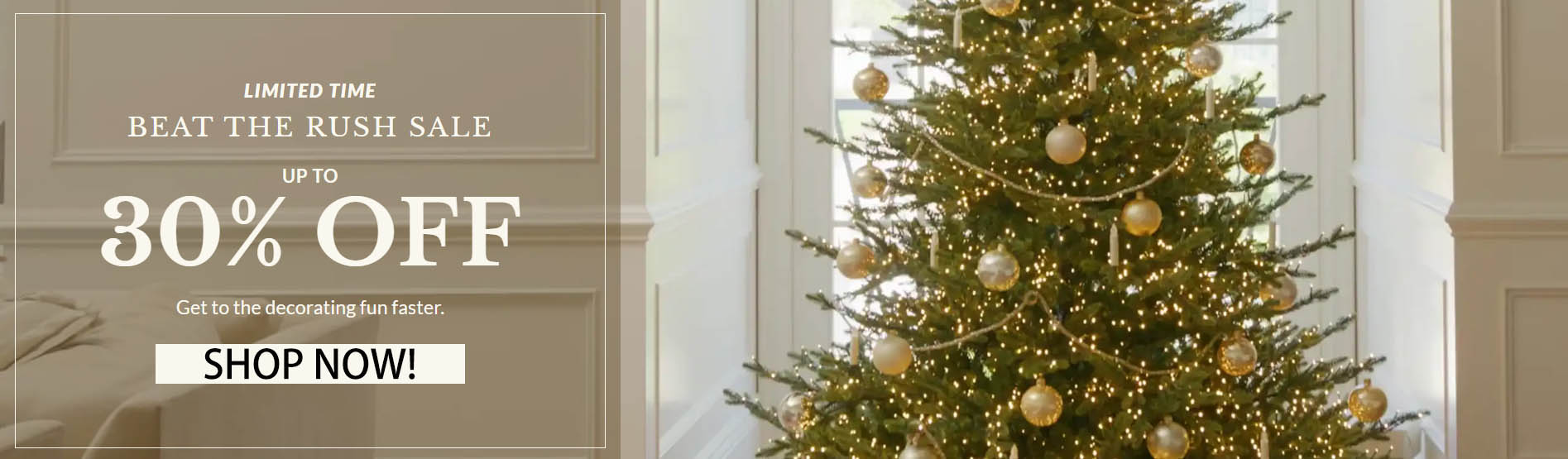 Wondershop 1 Wondershop -Wondershop FGJFGJ