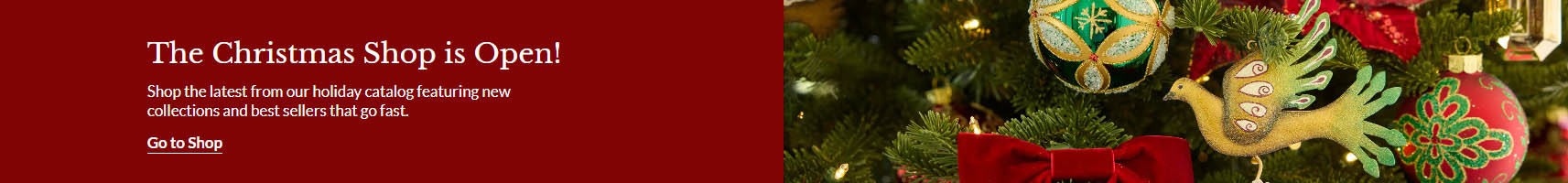 Wondershop -Wondershop FTHY