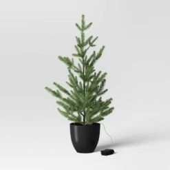 Pre-lit Potted Balsam Fir Mini Artificial Christmas Tree Set Warm White Lights - Wondershop™ -Wondershop GUEST 2f6ede86 a317 43ff 9028 1ebcf8a6c23f