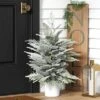 3' Pre-Lit Potted Flocked And Glittered Norfolk Artificial Christmas Tree - Wondershop™ 2 3' Pre-Lit Potted Flocked And Glittered Norfolk Artificial Christmas Tree - Wondershop™ -Wondershop GUEST 6f9df63f d6f9 48b6 82ce 43fbb803932e