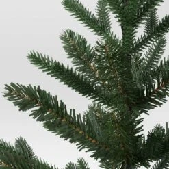 Wondershop -Wondershop GUEST 8b285c0f 34dd 4389 882f 5fa27d167afb