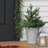 20" Pre-lit LED Battery Operated Mixed Pine Mini Christmas Artificial Pot Filler Warm White Lights - Wondershop™: Indoor/Outdoor 2 20" Pre-lit LED Battery Operated Mixed Pine Mini Christmas Artificial Pot Filler Warm White Lights - Wondershop™: Indoor/Outdoor -Wondershop GUEST 8dc5022d d693 44e3 bc72 c2ca704d3d97