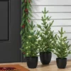 Pre-lit Potted Balsam Fir Mini Artificial Christmas Tree Set Warm White Lights - Wondershop™ 2 Pre-lit Potted Balsam Fir Mini Artificial Christmas Tree Set Warm White Lights - Wondershop™ -Wondershop GUEST af46b757 b950 4a1d ad17 04fdeb7728bd