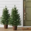 2pc 3' Pre-Lit Potted Balsam Fir Artificial Christmas Trees Warm LED White Lights - Wondershop™ -Wondershop GUEST bafd6766 a2fc 4c0c a392 af7072b314af