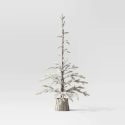 Wondershop -Wondershop GUEST db7cbea8 12d7 4ad4 9180 3b21663b2bd1